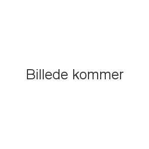 Opvaskebørster